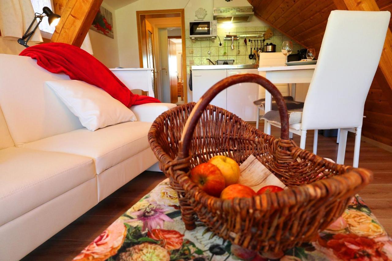 Landhaus-Vintage Fe-Wo-Apartment 5 Schluchsee Eksteriør bilde